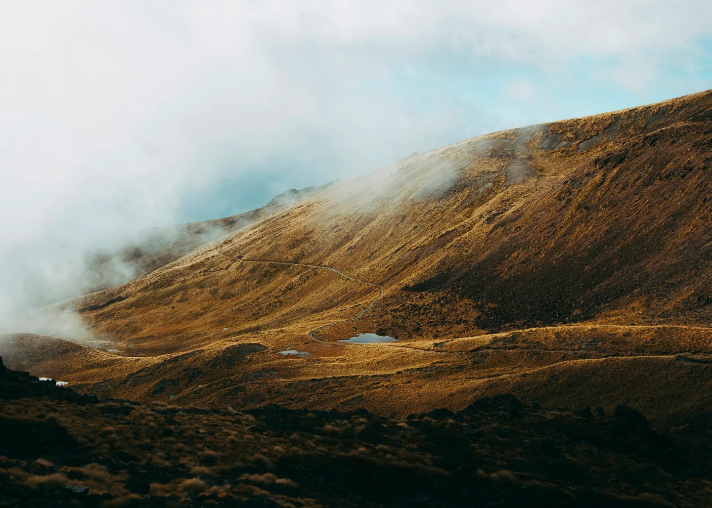 A narrow trail winds through golden alpine tussock as clouds clear over the Kepler Track in Fiordland National Park, New Zealand.